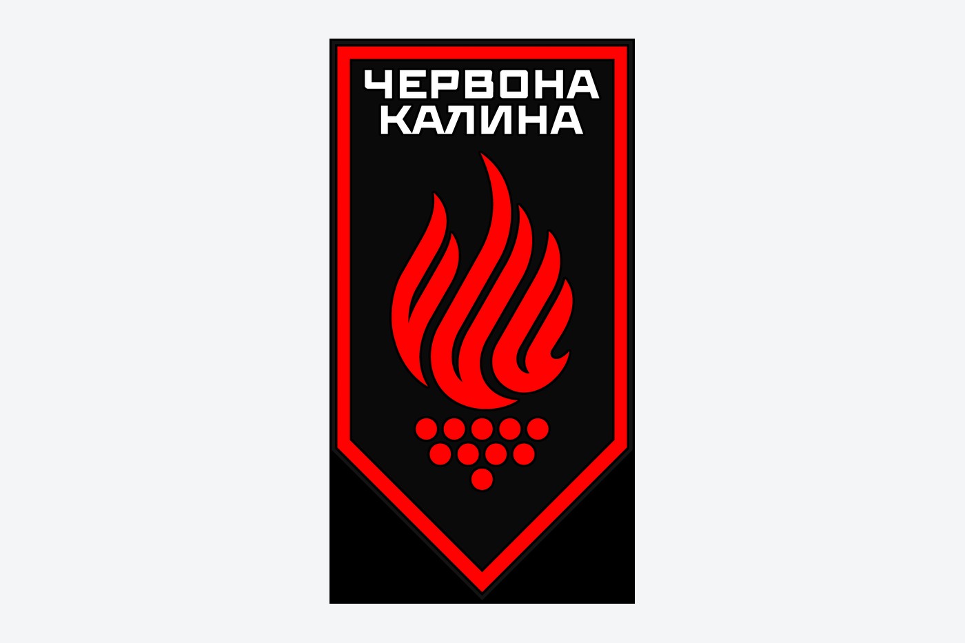 Бригада «Червона Калина»: формування, структура та місце у Гвардії наступу