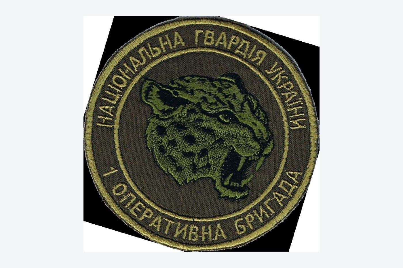 Бригада «Буревій»: важка піхота Національної гвардії та її організація